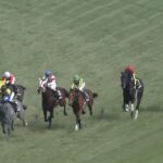 【競馬/ゆきやなぎ賞】ムーヴザワールド・・・・・