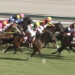 【競馬】天皇賞秋3着、香港カップ3着のステファノス