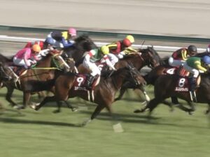 【競馬】天皇賞秋3着、香港カップ3着のステファノス