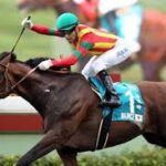 種牡馬モーリスの勝率がとんでもない歴史的水準に