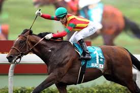 種牡馬モーリスの勝率がとんでもない歴史的水準に