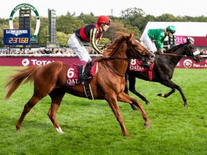 1200m、1600m、2000mのG1勝てる馬は難しいのか