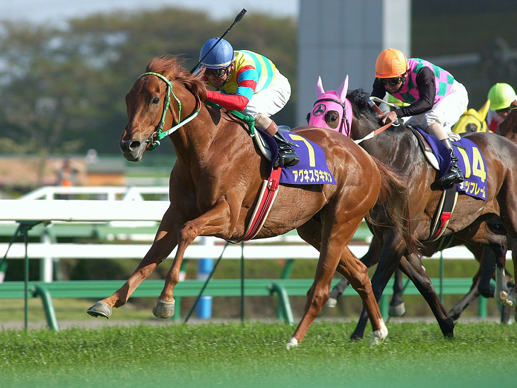 故障がなければ天下を取ってたであろう馬