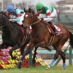 タスティエーラとプログノーシスが完全に空気扱いなんだが…