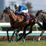 “個性派”弥生賞馬ファウストラーゼンはM・デムーロ騎手との新コンビでダービーへ