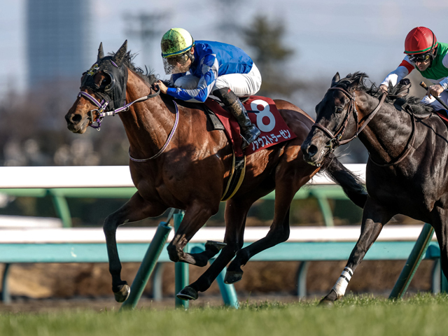 “個性派”弥生賞馬ファウストラーゼンはM・デムーロ騎手との新コンビでダービーへ