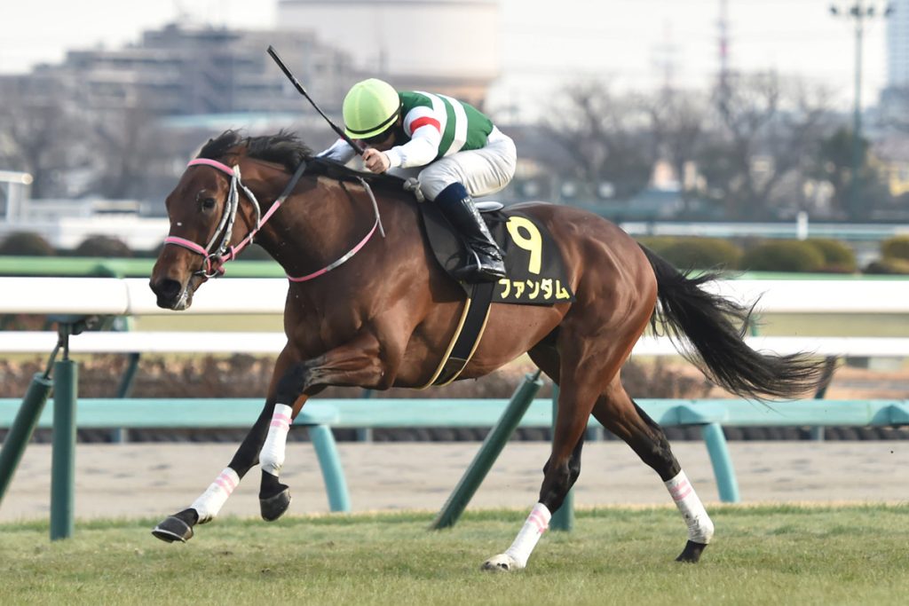 ファンダム東京優駿出走決定!牡馬Verアーモンドアイ爆誕キター───O(≧∇≦)O───♪