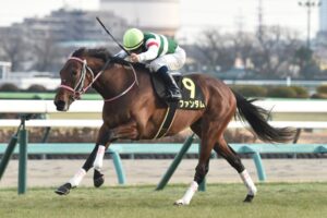 NHKマイルにファンダムいたら5馬身は前にいたよな