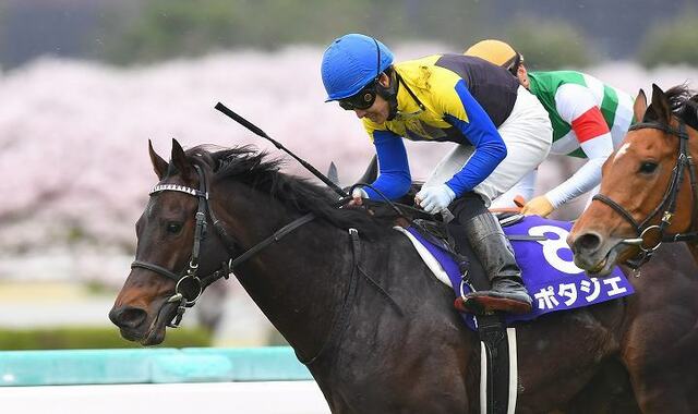 ポタジェ引退、種牡馬入り