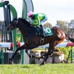 なにげに日本ダービーサトノシャイニングの鞍上って騎手次第であるよな?