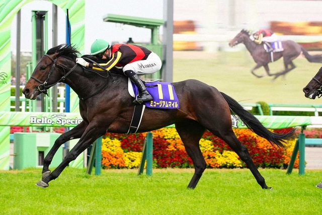 皐月賞馬ミュージアムマイルがレーンとの新コンビでダービーへ