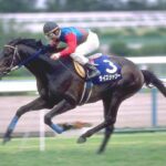 30年前の天皇賞春、難し過ぎる