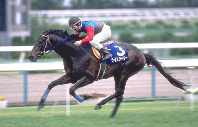 スタミナと切れを両立してる馬