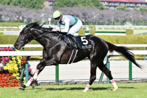 天皇賞春1週前追い切りハヤテノフクノスケ爆走！ラスト10秒9の末脚で先着！