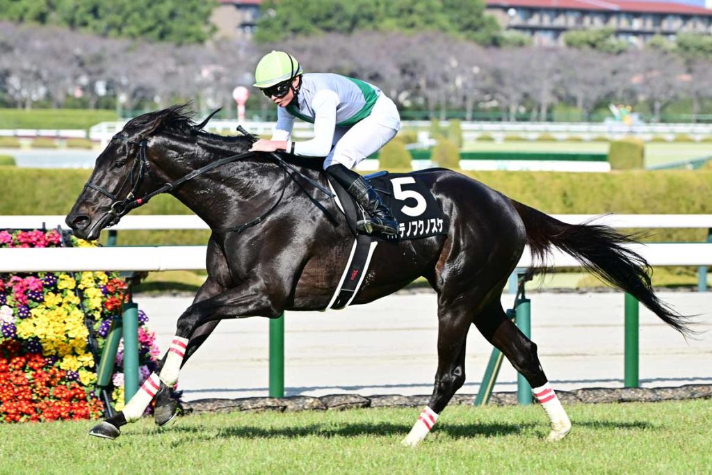 天皇賞春1週前追い切りハヤテノフクノスケ爆走!ラスト10秒9の末脚で先着!