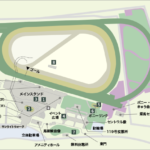 東京競馬を「府中」、阪神競馬を「仁川」と表現する競馬ファン気持ち悪い