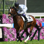 トッピボーン岩田望でダービー