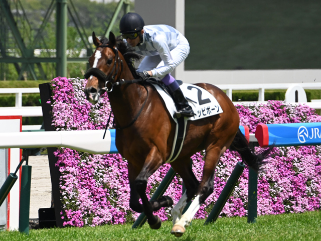 【武豊】前走は衝撃の圧勝劇 遅れてきた怪物・トッピボーン、京都新聞杯からダービーへ!