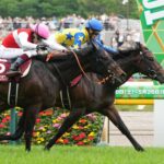 青葉賞レベル低すぎワロタ