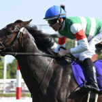 天皇賞・春 出走馬続々故障