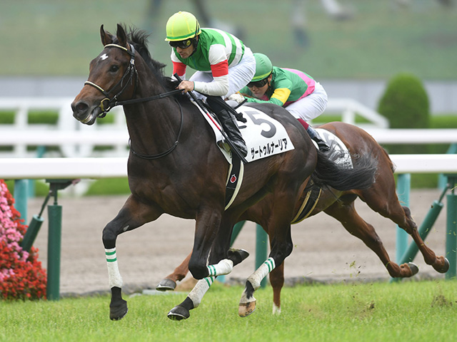 サートゥルナーリア種牡馬大成功!