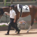 【競馬予想】第73回京都新聞杯(GⅡ) /2025