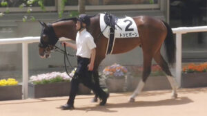 【京都新聞杯】トッピボーン武豊「さすがに伸びなったね」