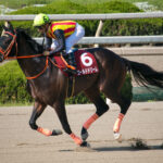 ゴールドドリームって凄い馬だったよね