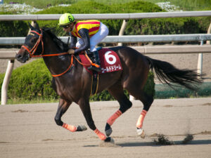 ゴールドドリームって凄い馬だったよね