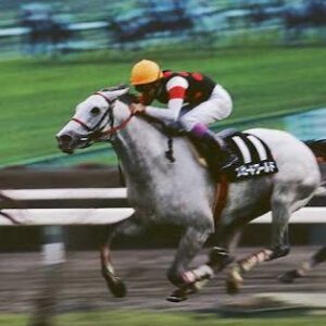 一番懐かしい競走馬出した奴が優勝