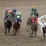 やめとけって地方競馬場教えて