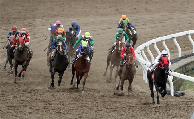 やめとけって地方競馬場教えて