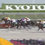 【平安ステークス2025】出走予定馬・騎手/実績vs勢い
