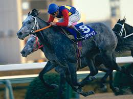 オグリキャップに次ぐストーリー性のある馬といえば何？