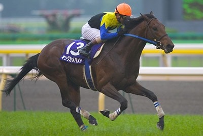 でもキングカメハメハ系って有馬や香港ヴァーズやドバイシーマ勝てないよね