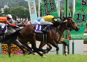 【NHKマイルC】パンジャタワーのオーナーがダービー参戦を示唆