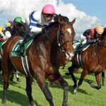 関西から新潟競馬場への行き方