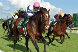 関西から新潟競馬場への行き方