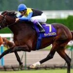 結局、日本競馬がディープインパクトとエアグルーヴに結露する件