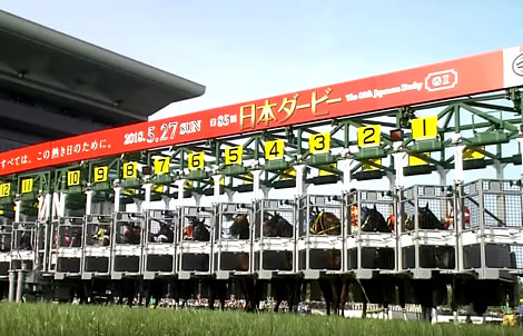 牝馬のダービー挑戦どう思う？