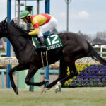 【競馬予想】[3]第86回優駿牝馬(オークス)(GⅠ) / 2025