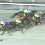 【かしわ記念2025】結果・動画/シャマルが抜け出し連覇達成