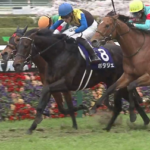 ポタジェさん引退、種牡馬入り