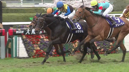 ポタジェさん引退、種牡馬入り