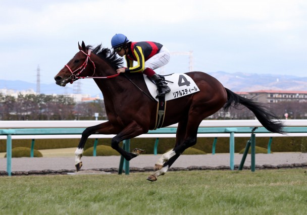 リアルスティール←こいつが完全なダート種牡馬と化した理由