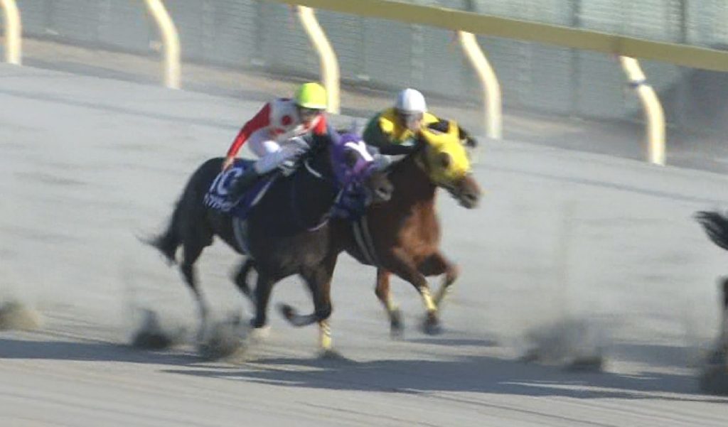 【競馬】善臣のサウンドトゥルーの騎乗が競馬関係者にボロクソ言われてる件