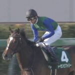 【競馬/中山牝馬S】武豊の神騎乗wwwwwww【5番人気トーセンビクトリー優勝】