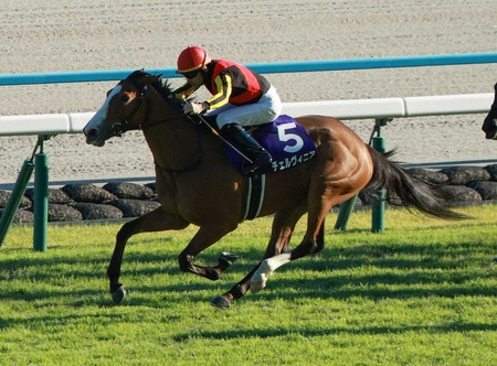 2冠牝馬チェルヴィニア 次走G3しらさぎS