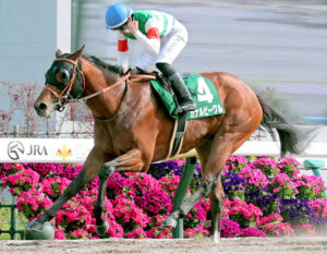 【ユニコーンS】カナルビーグルが重賞初制覇　吉村誠之助は重賞2勝目