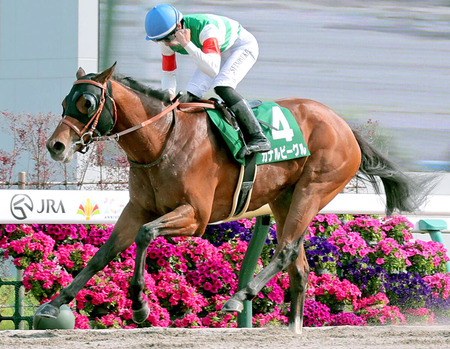 【ユニコーンS】カナルビーグルが重賞初制覇 吉村誠之助は重賞2勝目
